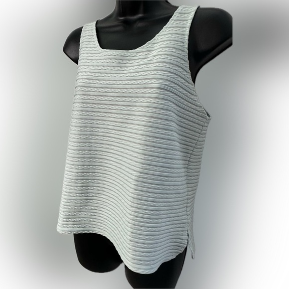 Express | NWOT Wide Sheer Sleeveless Blouse. Light horizontal stripes - Picture 16 of 16